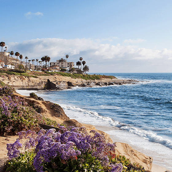 California beach with flowers and palm trees. Click to watch video.