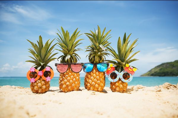 Four pineapples on beach wearing sunglasses