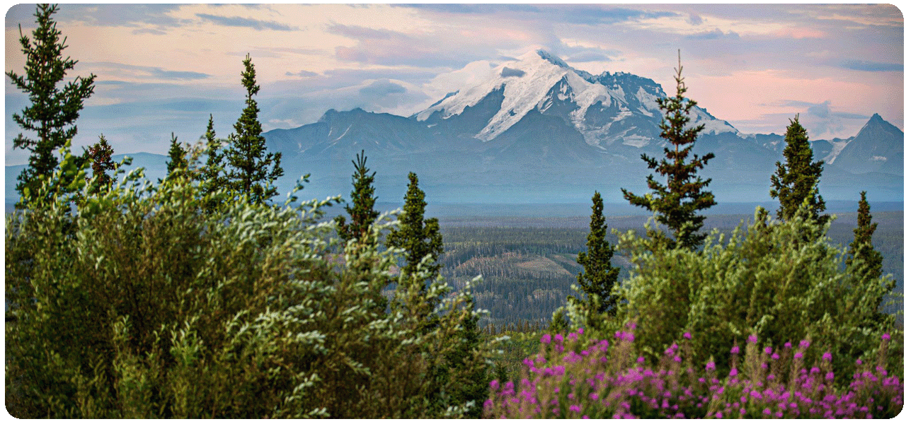 View of snow capped mountain tops in Wrangell St. Elias National Park. Click to learn more.