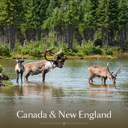 Canada and New England