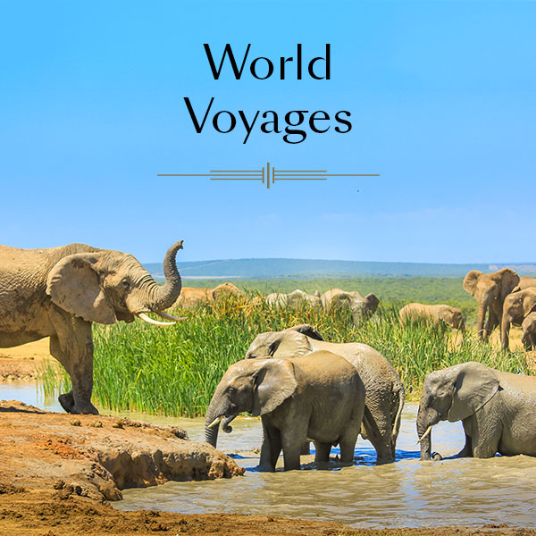 World Voyages