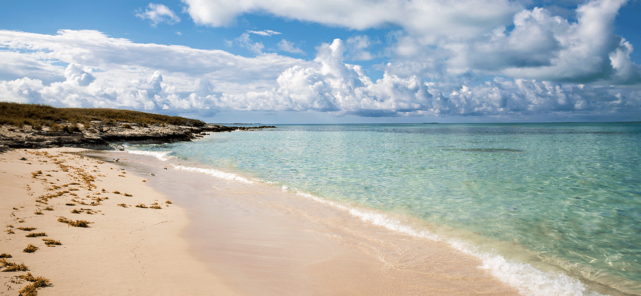 Beach shoreline in Galveston.