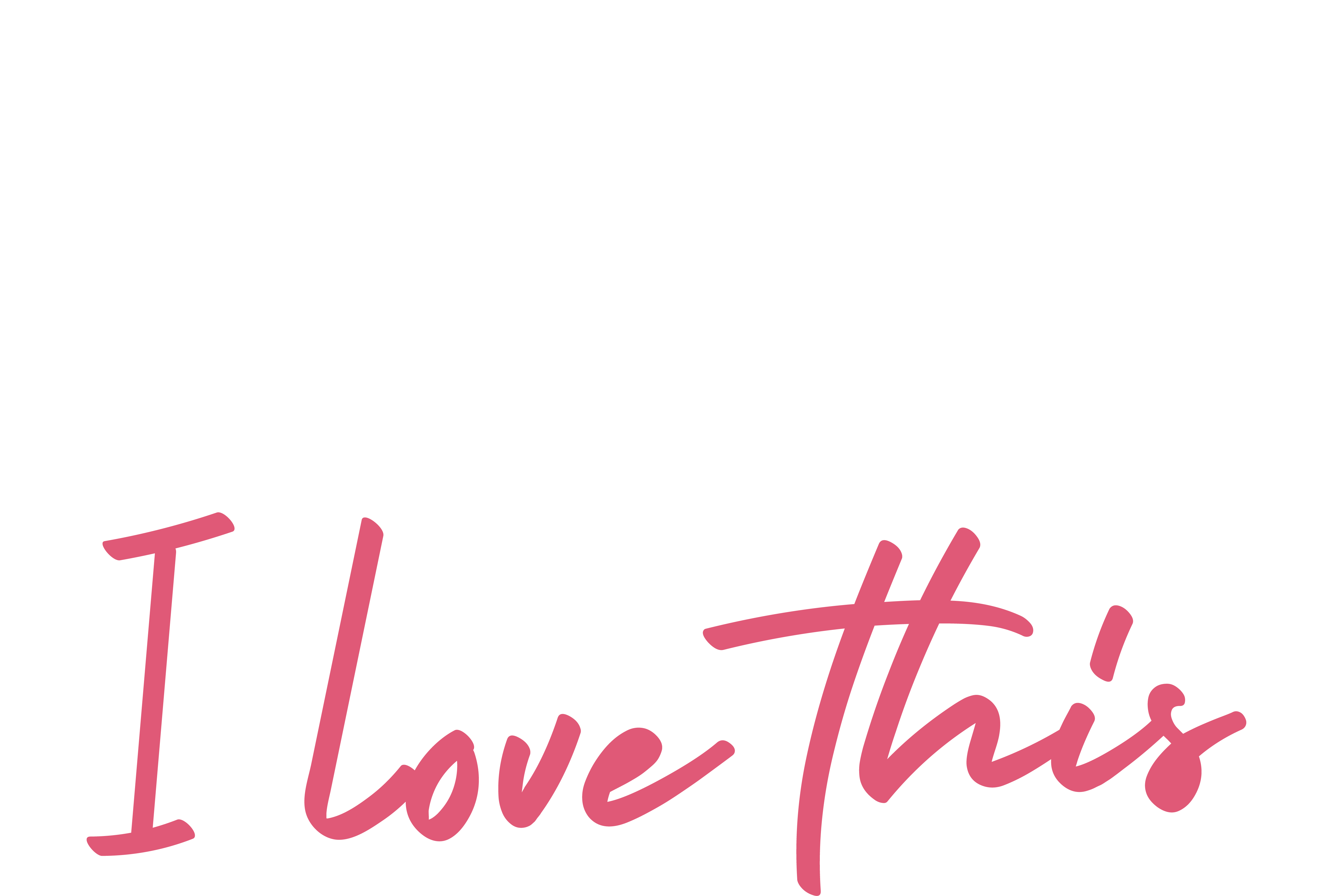 Princess Cruise Lines logo