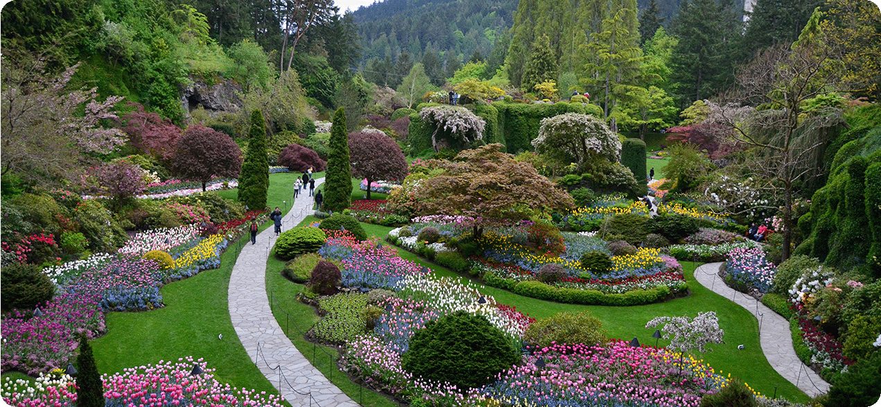 Flowered park walkway in Vancouver.