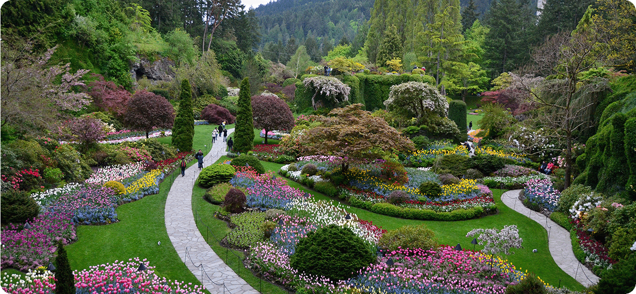 Flowered park walkway in Vancouver.