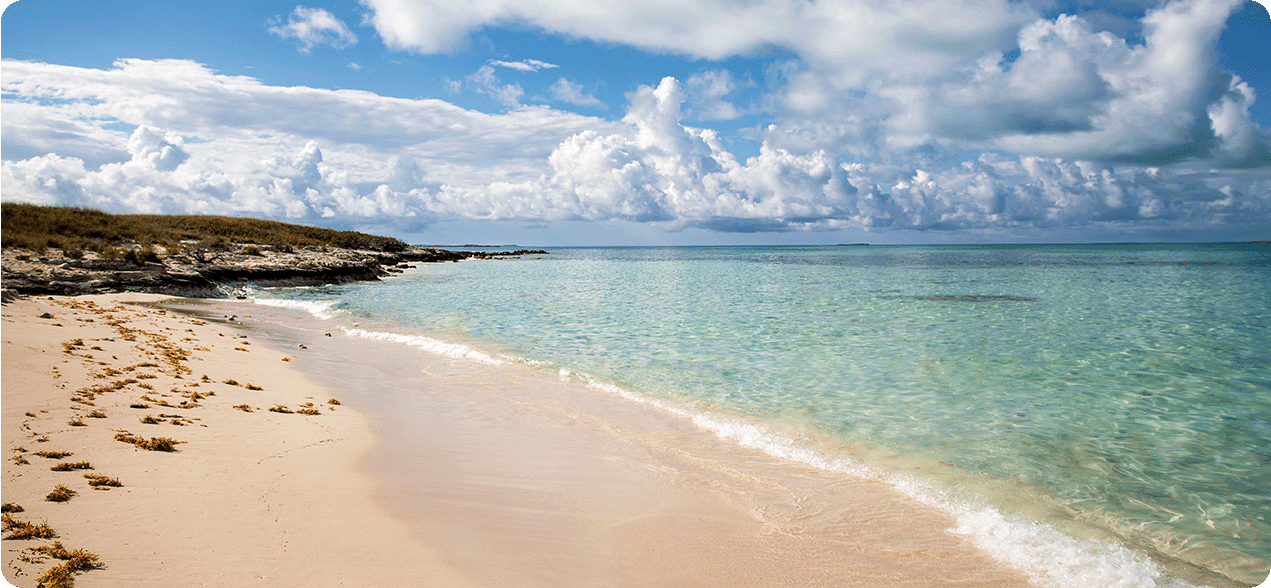 Beach shoreline in Galveston.
