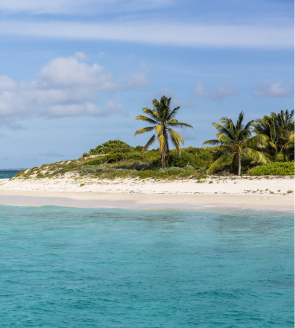 Vibes of the Virgin Islands