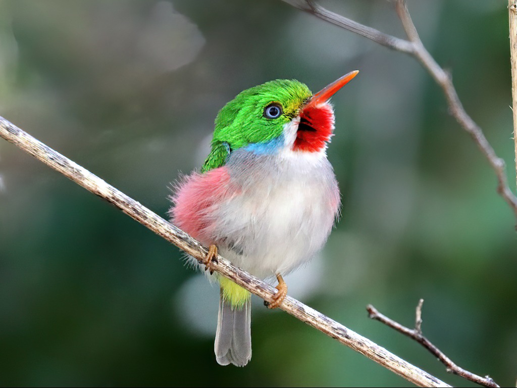 Cuba Tourism to host nature expo in September