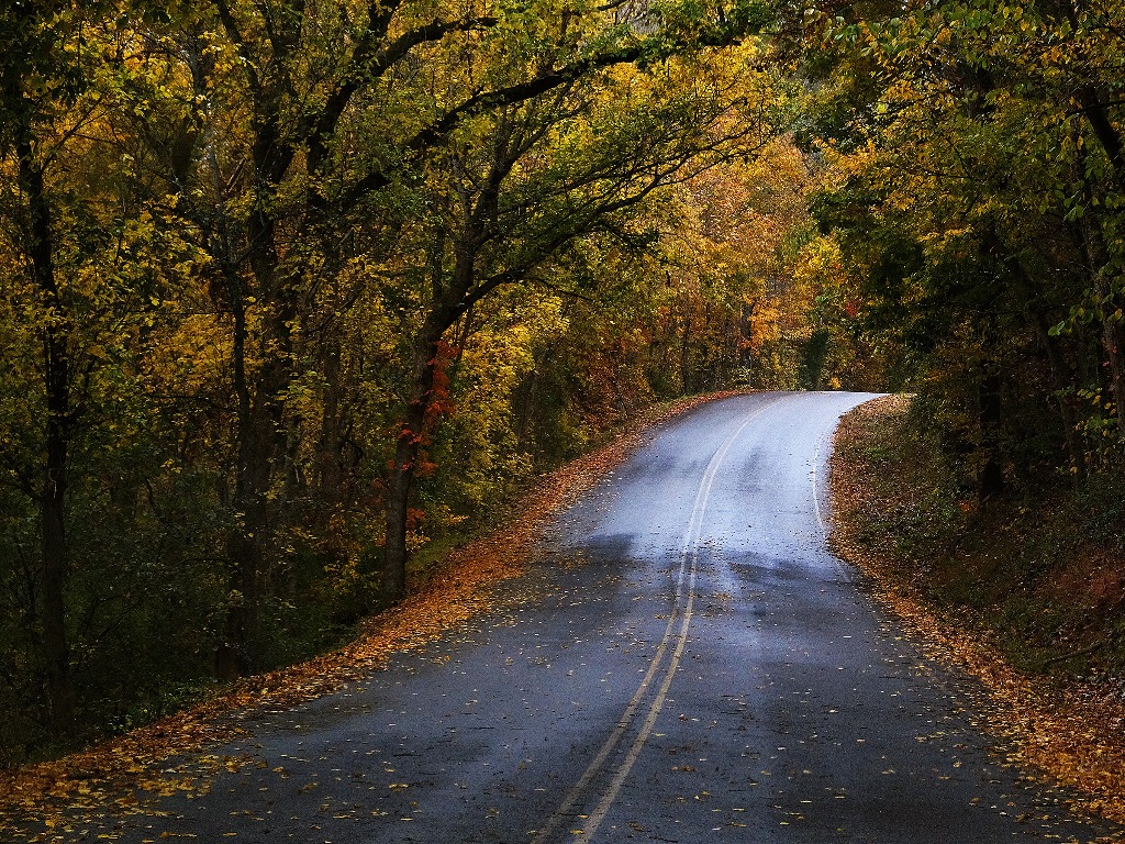 10 things to see, do and eat on a fall road trip to Nashville