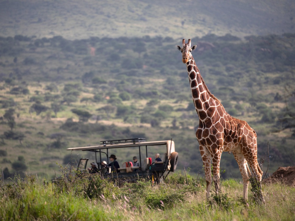 African Travel Inc. invites agents to win a $30,000 safari