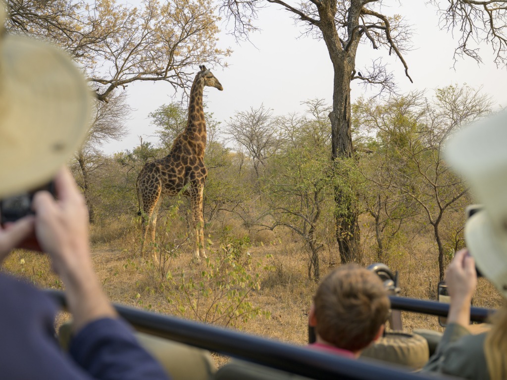 National Geographic Expeditions returns to South Africa in 2026