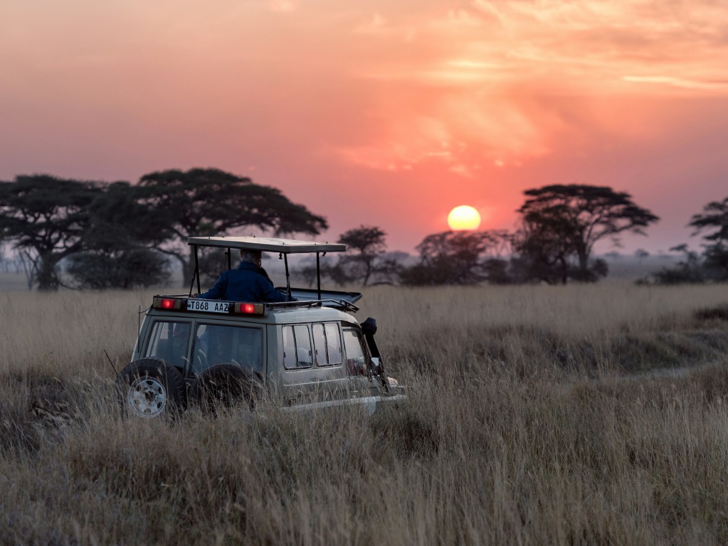 Collette launches new agent tool to boost safari bookings